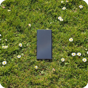 a phone in grass with daisies around it