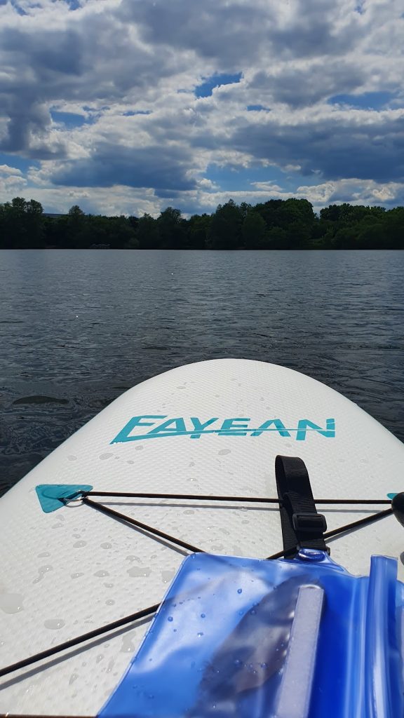 Paddleboard in a lake in summer