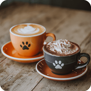two coffee cups on a wooden table, the coffee cups have a paw print on them. One coffee cup has coffee and the other has hot chocolate