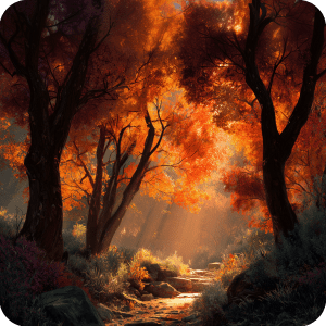 a small path through a forest in autumn